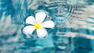 Buddhism, Ethics, and Psychology