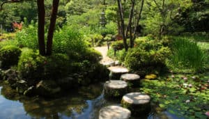 The Eightfold Path as an Ethical Compass in the Therapeutic Environment