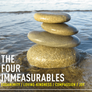 The Four Immeasurables: Meditations on Equanimity, Loving-Kindness, Compassion and Joy (CD)