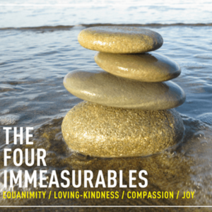 The Four Immeasurables: Meditations on Equanimity, Loving-Kindness, Compassion and Joy (Download)