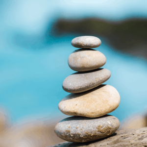 The Four Immeasurables: Meditation on Equanimity (Download)