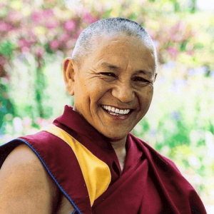 Geshe Pema Dorjee Talk on Cultivating Compassion (Download)
