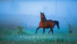 Depth Hypnosis, Soul Retrieval, and Addiction