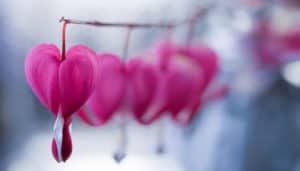 Applying Energy Medicine Techniques to an Autoimmune Response