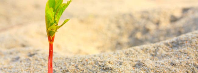 Creating Safety: A Glimpse of the Role of Energy in the Process of Self-Transformation