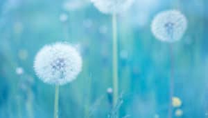 Death, Acceptance, and Grace