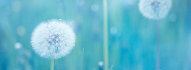 Death, Acceptance, and Grace