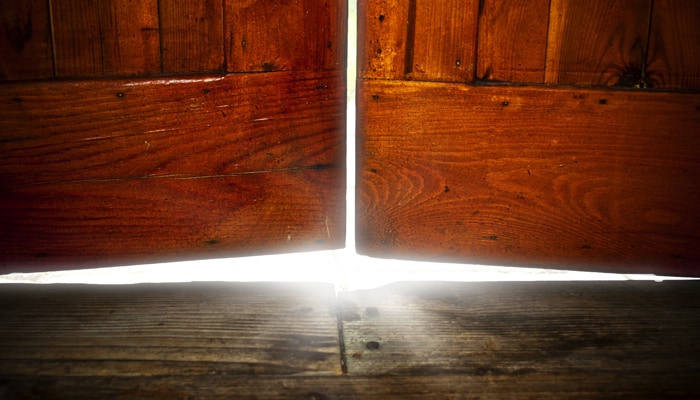 Article: Opening the Doors to the Self – Pain as a Guidepost