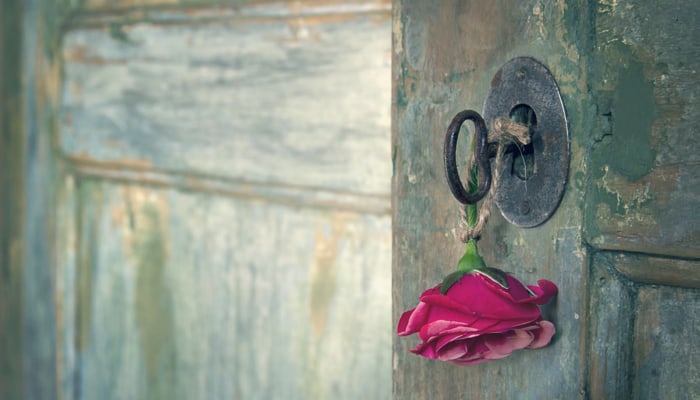 Article: Opening the Doors to the Self – Relationships