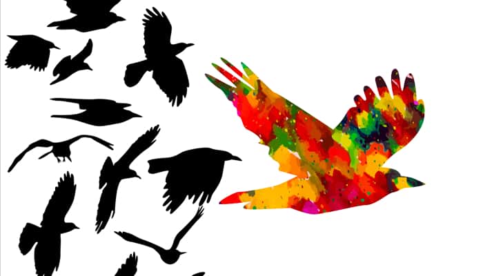 Article: Quack Like a Duck - Sacred Stream