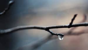 Reflections on Loss at the Winter Solstice