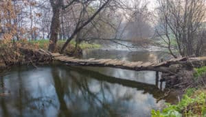 The Path of Service and Initiation