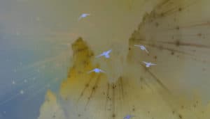 Using Integrated Energy Medicine Techniques to Address PMS