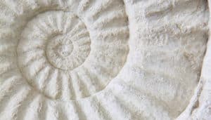 What is Depth Hypnosis?