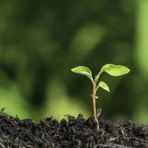 Meditations for Navigating Grief and Loss (Download)