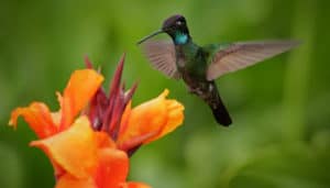 Aligning Personal Will