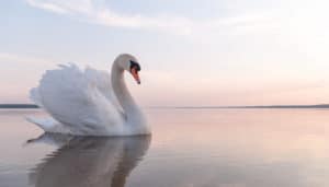 Buddhism and the Nature of Suffering