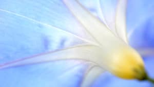 Power Loss and Addictive Behavior