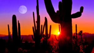 Shamanism in Contemporary Culture