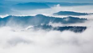 The Relationship Between Concepts and Emotions