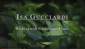 Working with Psychoptropic Plants