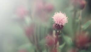 Finding Your Spiritual Path Part 2: Forgiveness, Blame, and Shame