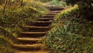 Finding Your Spiritual Path Part 4: Intention and Motivation