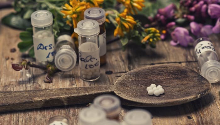 Blog: Lori Nairne and Homeopathy Part 2: Teachings