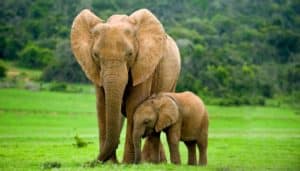 Upcoming Courses for Parents at Sacred Stream