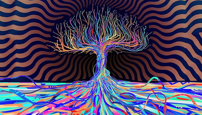 On the Air: Inner Truth Podcast: Psychedelics: Your Questions Answered with Isa Gucciardi