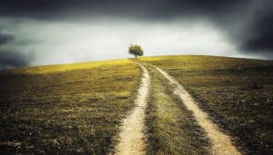 Engaged Listening on the Path to Coming to Peace