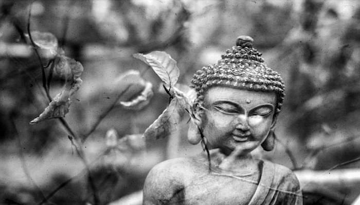 Article: The Journey: Buddhism and Shamanism at the Crossroads