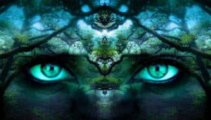 How the Shamanic Journey Illuminates the Inner World