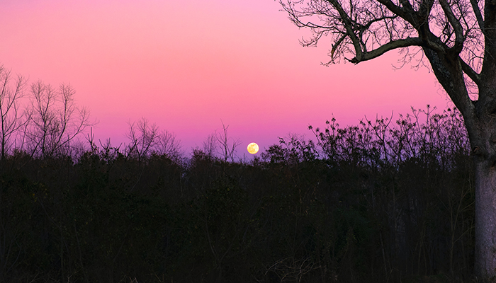 Video: Fall Equinox Talk & Meditation with Isa Gucciardi and Laura Chandler