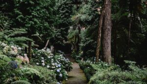 Insights Gained on the Path of Service