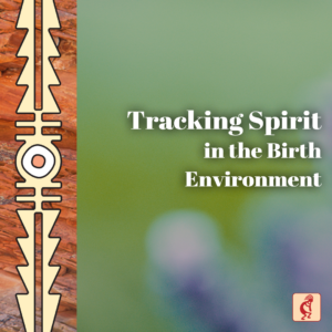 Tracking Spirit in the Birth Environment (On Demand)