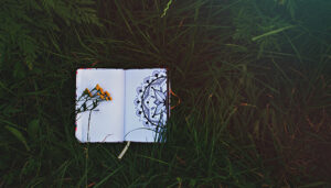 Buddhism and Psychedelics