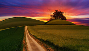 Blog: Buddhist Psychology: A Path to Wholeness