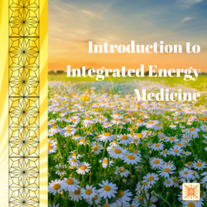 Introduction to Integrated Energy Medicine (On Demand)